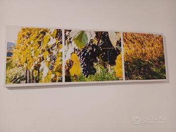 Quadro su tela in canvas vigneto