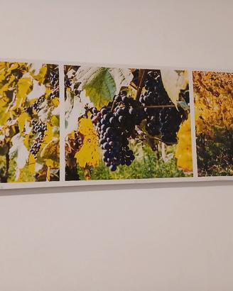 Quadro su tela in canvas vigneto