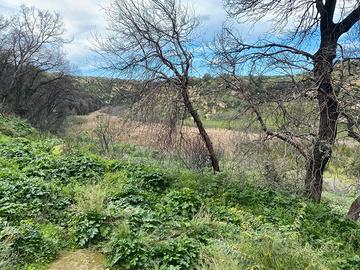Terreno agricolo a mazara del vallo
