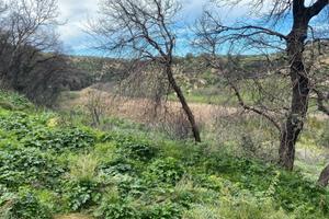 Terreno agricolo a mazara del vallo