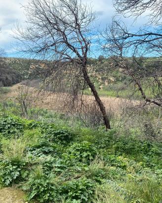 Terreno agricolo a mazara del vallo