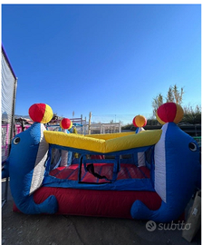 Saltarello Super Leggero " I delfini"