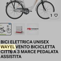 Bici elettrica