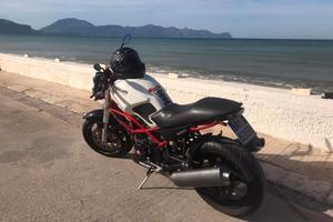 Ducati Monster 600