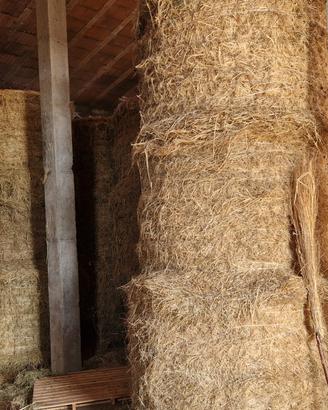 Fieno di prato misto