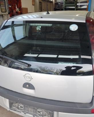 Portellone nudo OPEL CORSA C del 2003