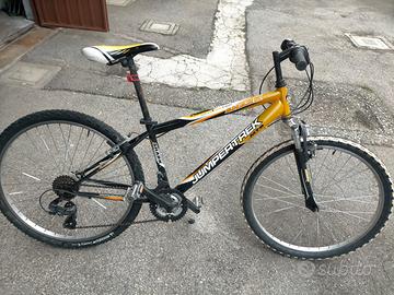 Bicicletta mountain biking