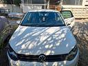 volkswagen-polo-1-6-tdi-90cv-dpf-5-porte-comfortli