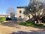 Immagine 11