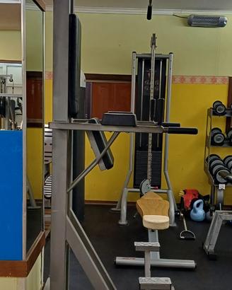 Power Tower Fantastic Panatta Sport