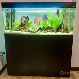 KIT COMPLETO (acquario + pesci insieme) Aquael