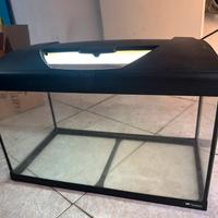 Acquario pesci tropicale con luci