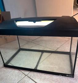 Acquario pesci tropicale con luci