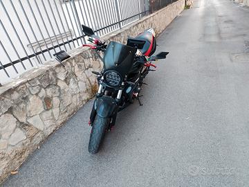 Hornet 600 2001
