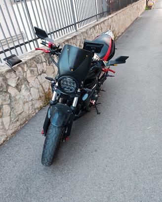 Hornet 600 2001