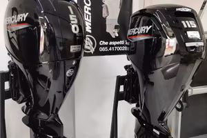 MOTORI Mercury F150 F115 POCHE Ore