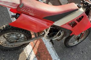 Grizzly Rcx