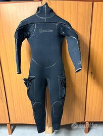 Muta semistagna hollis