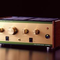 Leben-Amplificatore Integrato a valvole-CS-300XS