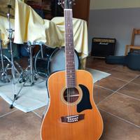 chitarra 12 corde