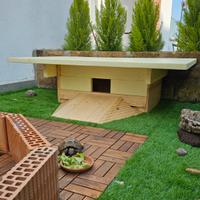 Terrario per tartarughe e piccoli animali domestic