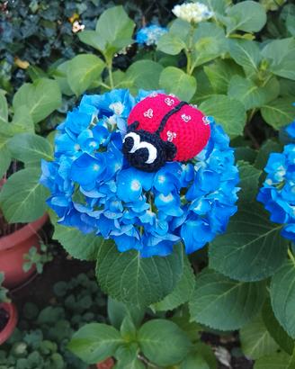 Portachiavi coccinella.