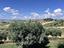 Immagine 28