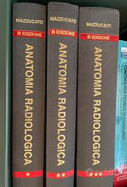 Atlante anatomia radiologica mazzucato