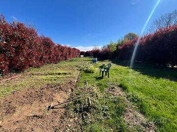 TERRENO A VAPRIO D'ADDA