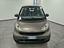 Immagine 13