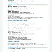 Attualmente lavoro come riparatore di mobili e mat
