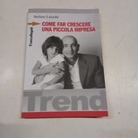 COME FAR CRESCERE UNA PICCOLA IMPRESA - Stefano Lu