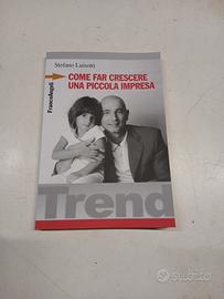 COME FAR CRESCERE UNA PICCOLA IMPRESA - Stefano Lu