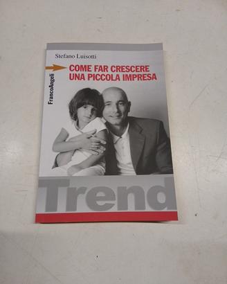 COME FAR CRESCERE UNA PICCOLA IMPRESA - Stefano Lu