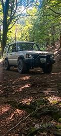 Discovery Td5 ASI e OMOLOGATA