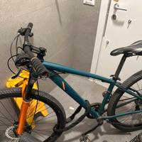 Bicicletta ruote 29
