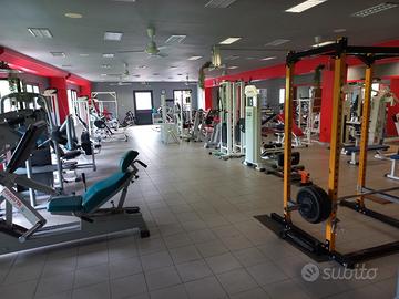 Palestra body building