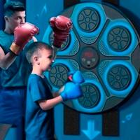 Pannello da Boxe Interattivo LED – Perfetto