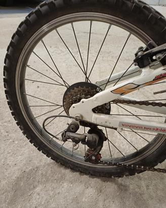 bicicletta bambimo
