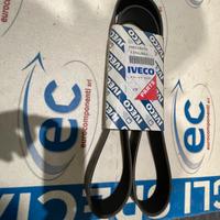 500328020 CINGHIA SERVIZI ORIGINALE IVECO