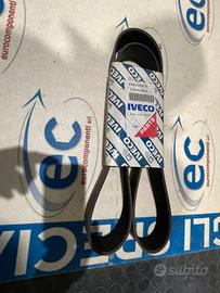 500328020 CINGHIA SERVIZI ORIGINALE IVECO