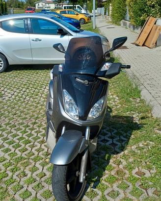 Xmax 250 2008 