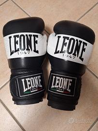 Attrezzatura completa Leone 1947