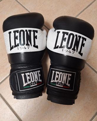 Attrezzatura completa Leone 1947