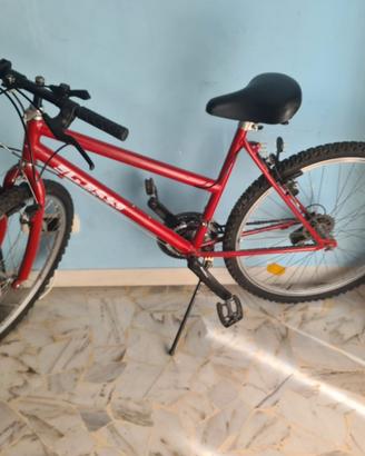 Bicicletta Mountain Bike-young - ricondizionata !