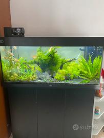 PROMO PIANTE ACQUARIO