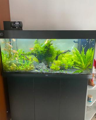 PROMO PIANTE ACQUARIO