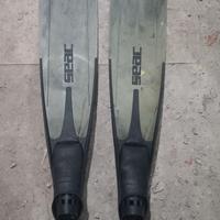 Pinne sub seac