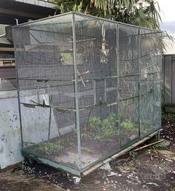 Voliera grande per pappagalli