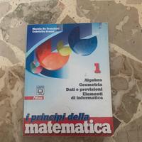 I principi della matematica 1